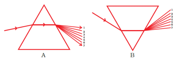 NCERT Exemplar Solutions: Light | Science Class 7