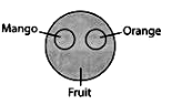 Practice Questions: Logical Venn Diagrams | Science Olympiad Class 6