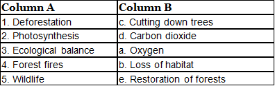 Worksheets With Solutions: Forest: Our Lifeline Class 7 Worksheet Science Chapter 12