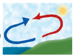 NCERT Exemplar Solutions: Winds, Storms & Cyclones | Science Olympiad Class 7