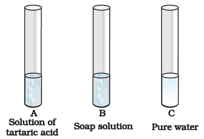 NCERT Exemplar Solutions: Acids, Bases & Salts | Science Class 7