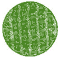 NCERT Solutions for Class 8 Maths - Visualising Solid Shapes- 2