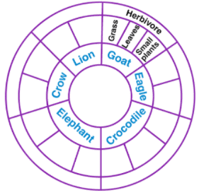 NCERT Exemplar Solutions: Food - Where does it come from | Science for Class 6