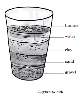 Soil Summary Class 7 NCERT Summary