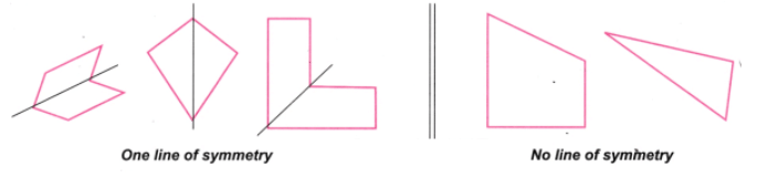 Symmetry NCERT Solutions | Mathematics for Class 6