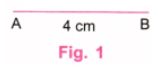 Playing with Constructions NCERT Solutions | Mathematics for Class 6