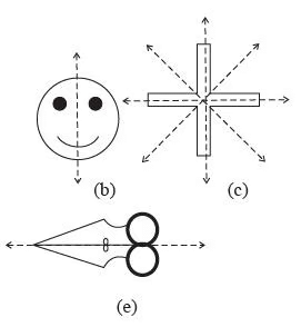 Worksheet Solutions: Symmetry - 2 | Worksheets with Solutions for Class 6