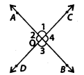 NCERT Exemplar Solutions: Lines & Angles | Mathematics (Maths) Class 7 (Old NCERT)