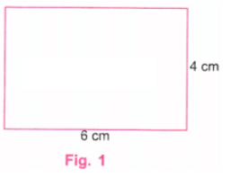 Playing with Constructions NCERT Solutions | Mathematics for Class 6