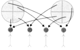 Fractions NCERT Solutions | Mathematics for Class 6