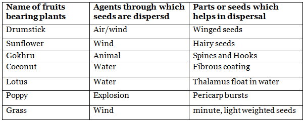 Class 7 Science Chapter 8 Question Answers - Reproduction in Plants