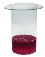 Class 7 Science Chapter 2 NCERT Based Activity - Exploring Substances: Acidic, Basic and Neutral