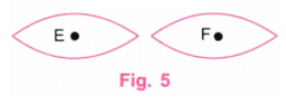 Playing with Constructions NCERT Solutions | Mathematics for Class 6