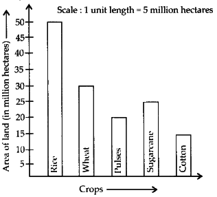 NCERT Exemplar Solutions: Data Handling | Mathematics (Maths) Class 6