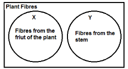 Science Olympiad Previous Year Paper - 2 | Science Olympiad Class 6