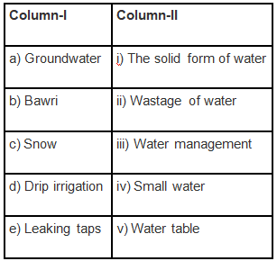 NCERT Exemplar Solutions: Water - A Precious Resource | Science Olympiad Class 7