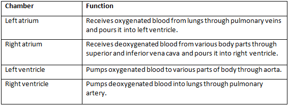 Class 7 Science Chapter 7 Question Answers - Transportation in Animals and Plants