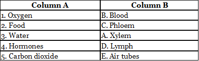 Worksheets With Solutions: Transport of Substances in Animals and Plants Class 7 Worksheet Science Chapter 7