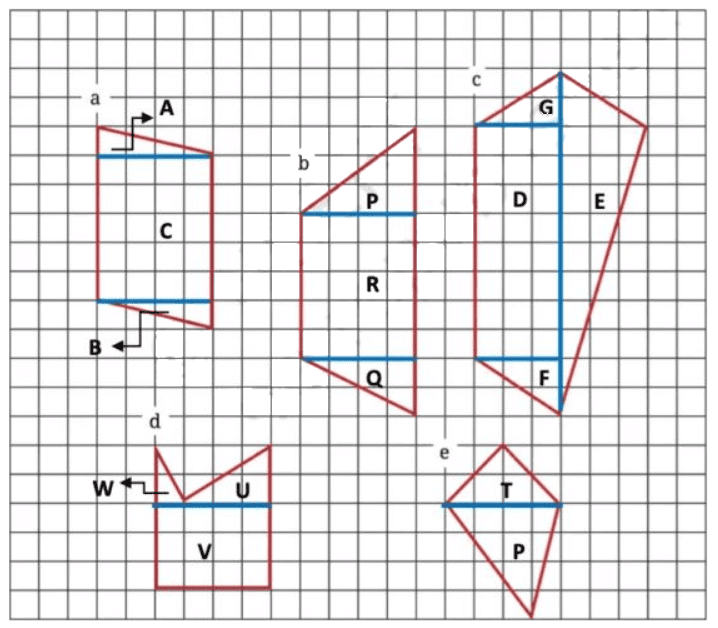Perimeter and Area NCERT Solutions | Mathematics (Maths) Class 6