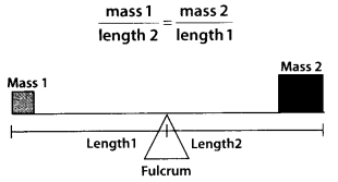 NCERT Exemplar Solutions: Comparing Quantities | Mathematics (Maths) Class 7 (Old NCERT)
