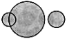 Practice Questions: Logical Venn Diagrams | Science Olympiad Class 6