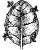 Class 7 Science Chapter 8 Question Answers - Reproduction in Plants