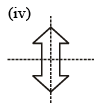 Symmetry Class 7 Worksheet Maths Chapter 12