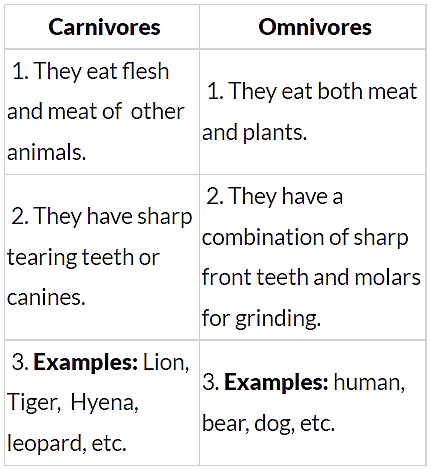 Worksheet Solutions: Living Creatures: Exploring their Characteristics - 2 | Worksheets with Solutions for Class 6
