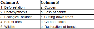 Forest: Our Lifeline Class 7 Worksheet Science Chapter 12