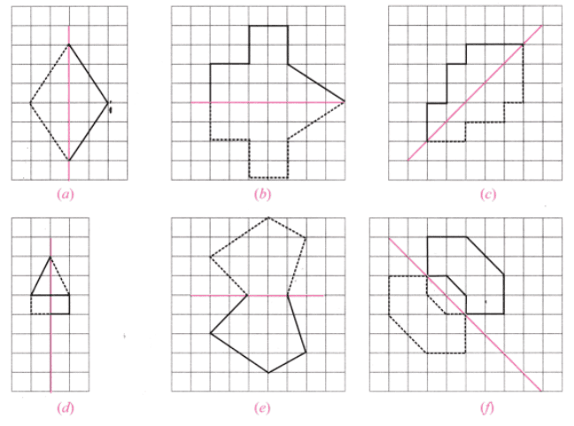 Symmetry NCERT Solutions | Mathematics for Class 6