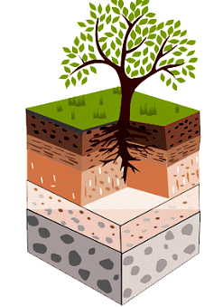 Soil Class 7 Notes Science