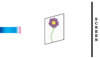 NCERT Exemplar Solutions: Light, Shadow and Reflections | Science Olympiad Class 6