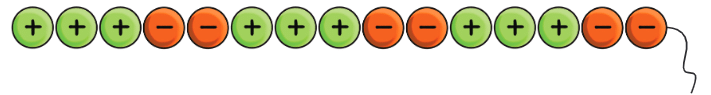 The Other Side of Zero NCERT Solutions | Mathematics for Class 6