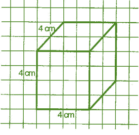 NCERT Solutions for Class 7 Maths - Visualising Solid Shapes- 1