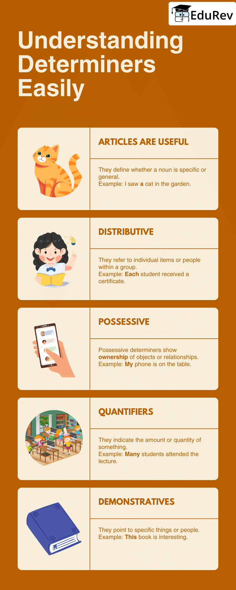 Learning Poster: Determiners | English Grammar for Class 6