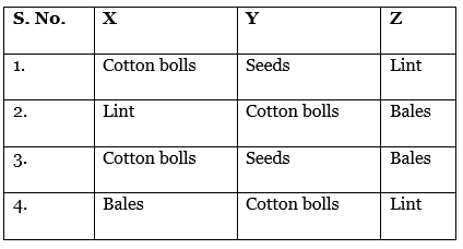 Science Olympiad Model Test Paper - 3 | Science Olympiad Class 6