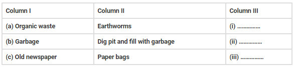NCERT Exemplar Solutions: Garbage In, Garbage Out | Preparation for NCEE - Primary 6
