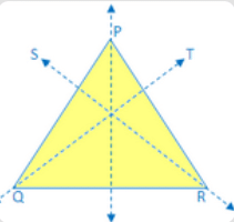 Class 7 Maths Chapter 12 Practice Question Answers - Symmetry
