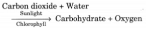 Class 7 Science Chapter 1 Question Answers - Nutrition in Plants