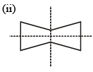 Symmetry Class 7 Worksheet Maths Chapter 12