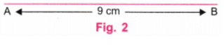 Playing with Constructions NCERT Solutions | Mathematics for Class 6