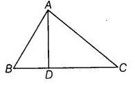 NCERT Exemplar Solutions: Geometry | Mathematics (Maths) Class 6