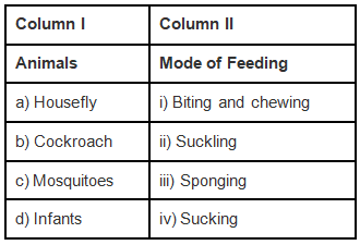 NCERT Exemplar Solutions: Nutrition in Animals | Science Class 7
