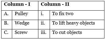Science Olympiad Previous Year Paper - 1 | Science Olympiad Class 6