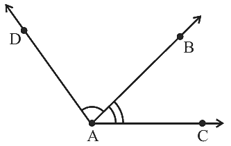 NCERT Exemplar Solutions: Geometry | Mathematics (Maths) Class 6