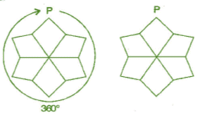 NCERT Solutions for Class 7 Maths - Symmetry- 1