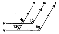 NCERT Exemplar Solutions: Lines & Angles | Mathematics (Maths) Class 7 (Old NCERT)