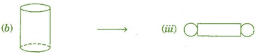 NCERT Solutions for Class 7 Maths - Visualising Solid Shapes- 1