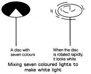 Class 7 Science Chapter 13 Question Answers - Light