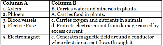 Worksheets With Solutions: Electric Current and Its Effects Class 7 Worksheet Science Chapter 10
